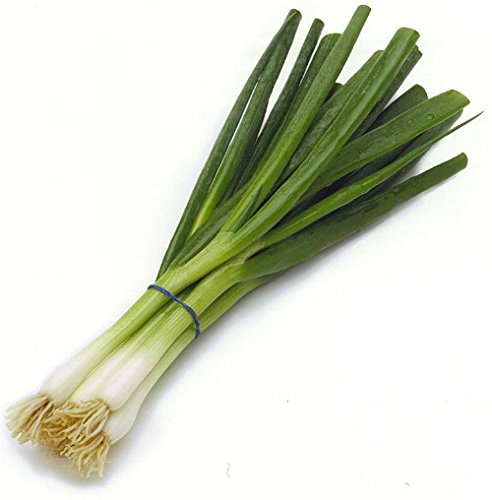 Green Onions (Scallions), One Bunch
