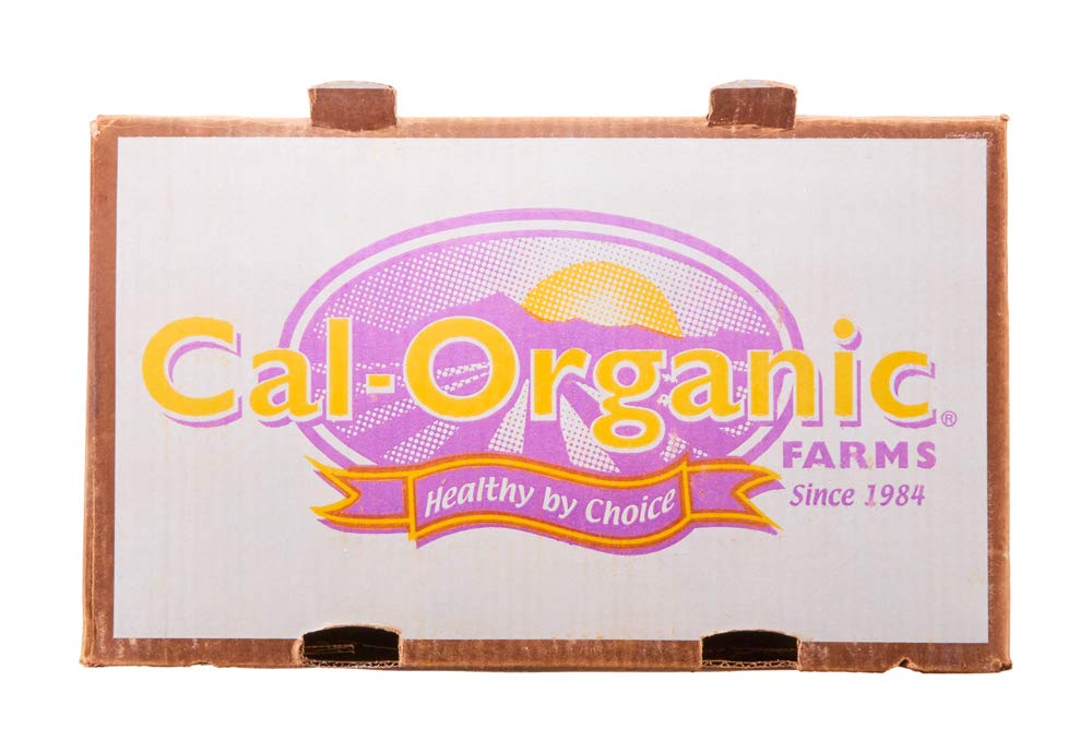 Organic Broccoli, 1 Each