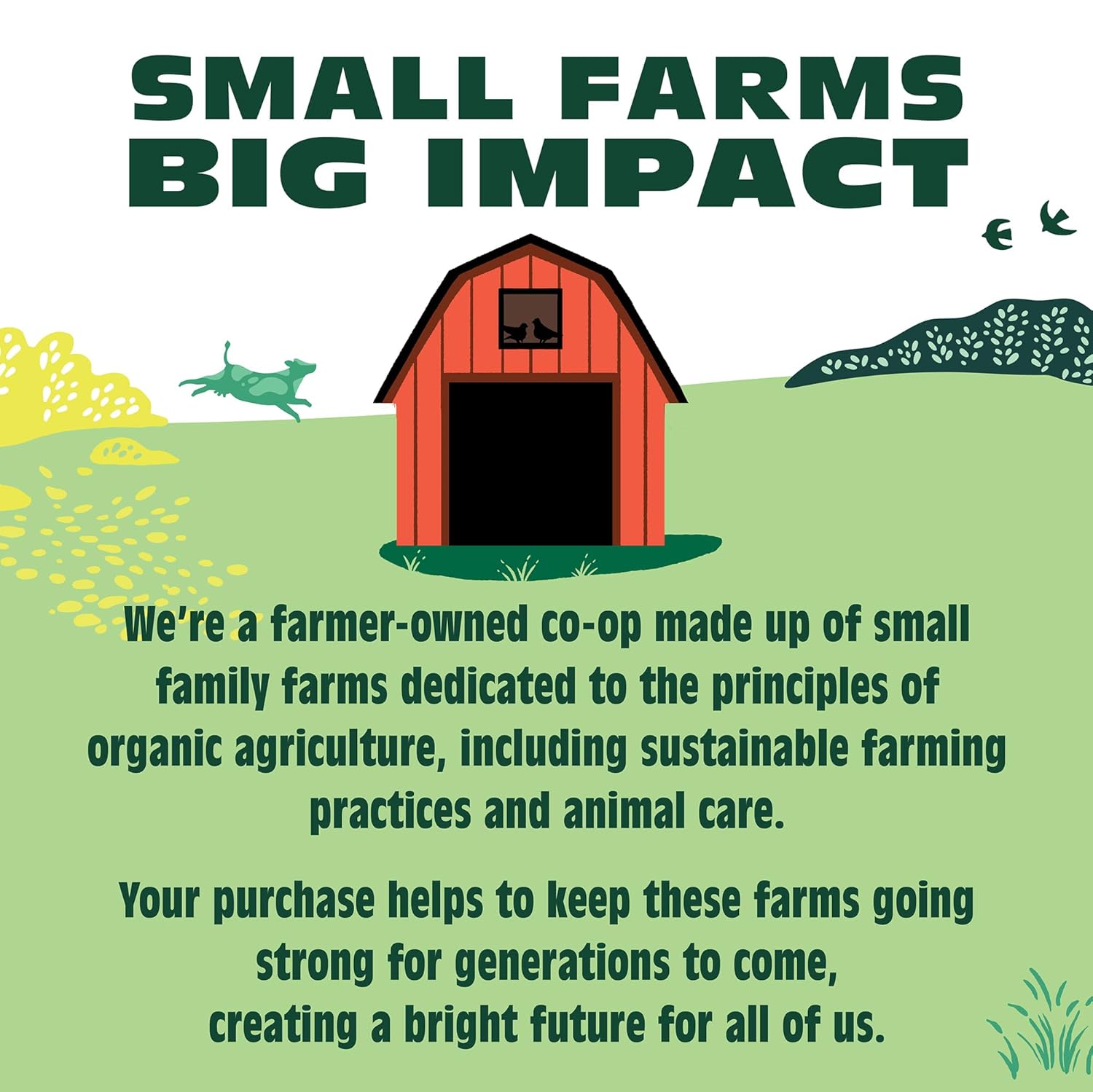 ORGANIC VALLEY Organic Half & Half, 32oz