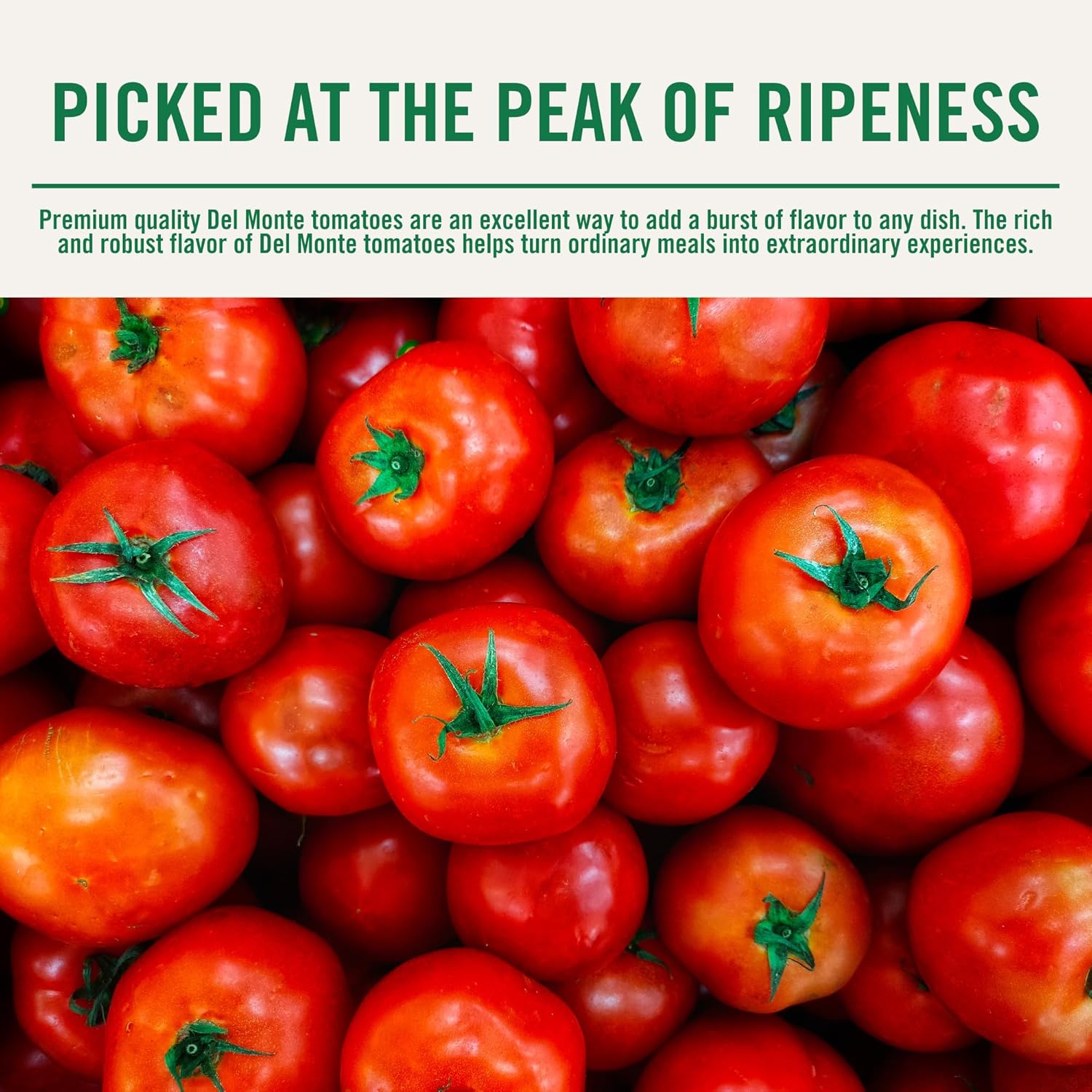 Del Monte Canned Tomato Sauce, 8 oz (Pack of 24 Cans)